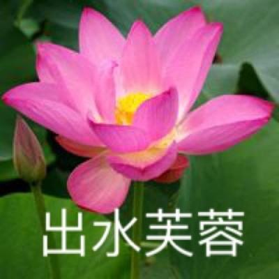 勇者法则ol九游版下载